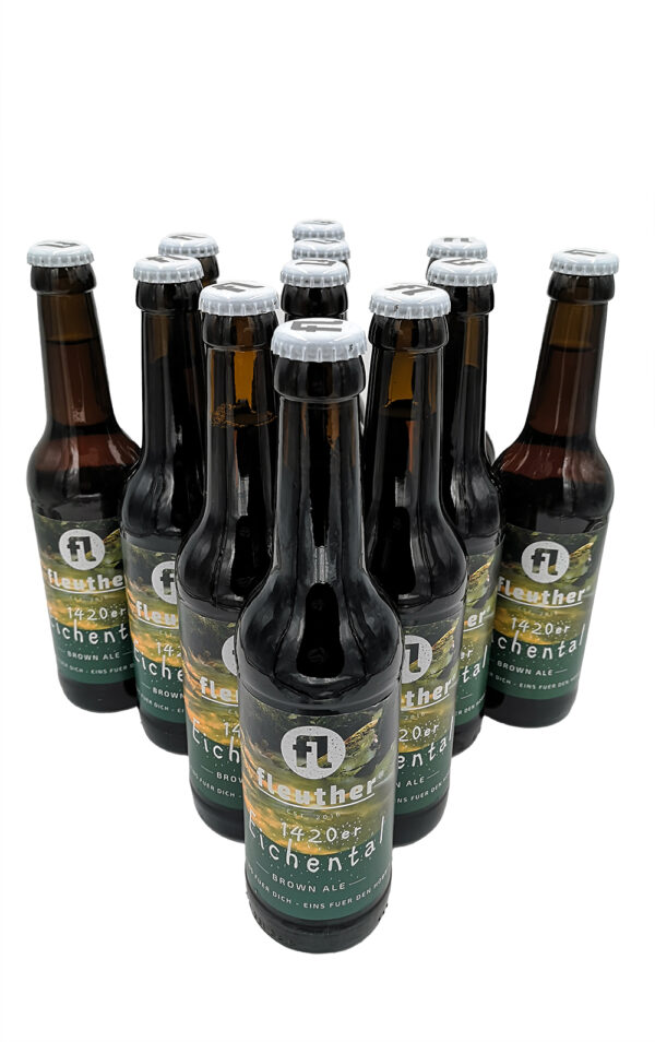 24er Paket Brown Ale Hobbit Bier